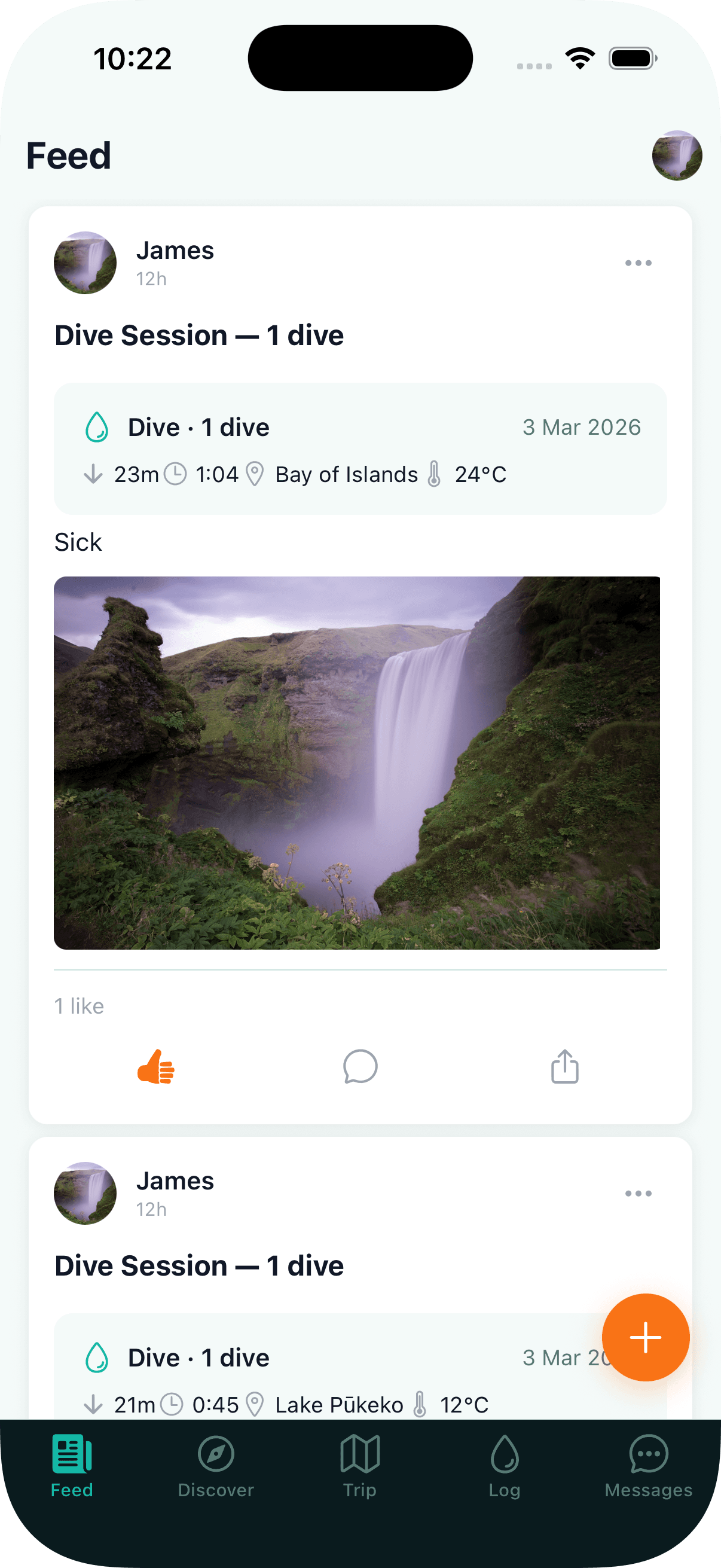 Social feed with dive posts and photos
